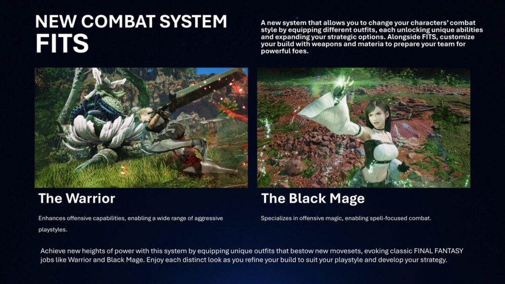 Sistem combat FITS